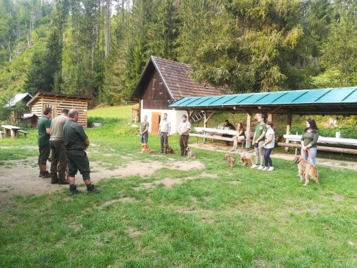 Náhľad albumu Výcvikový deň 2018
